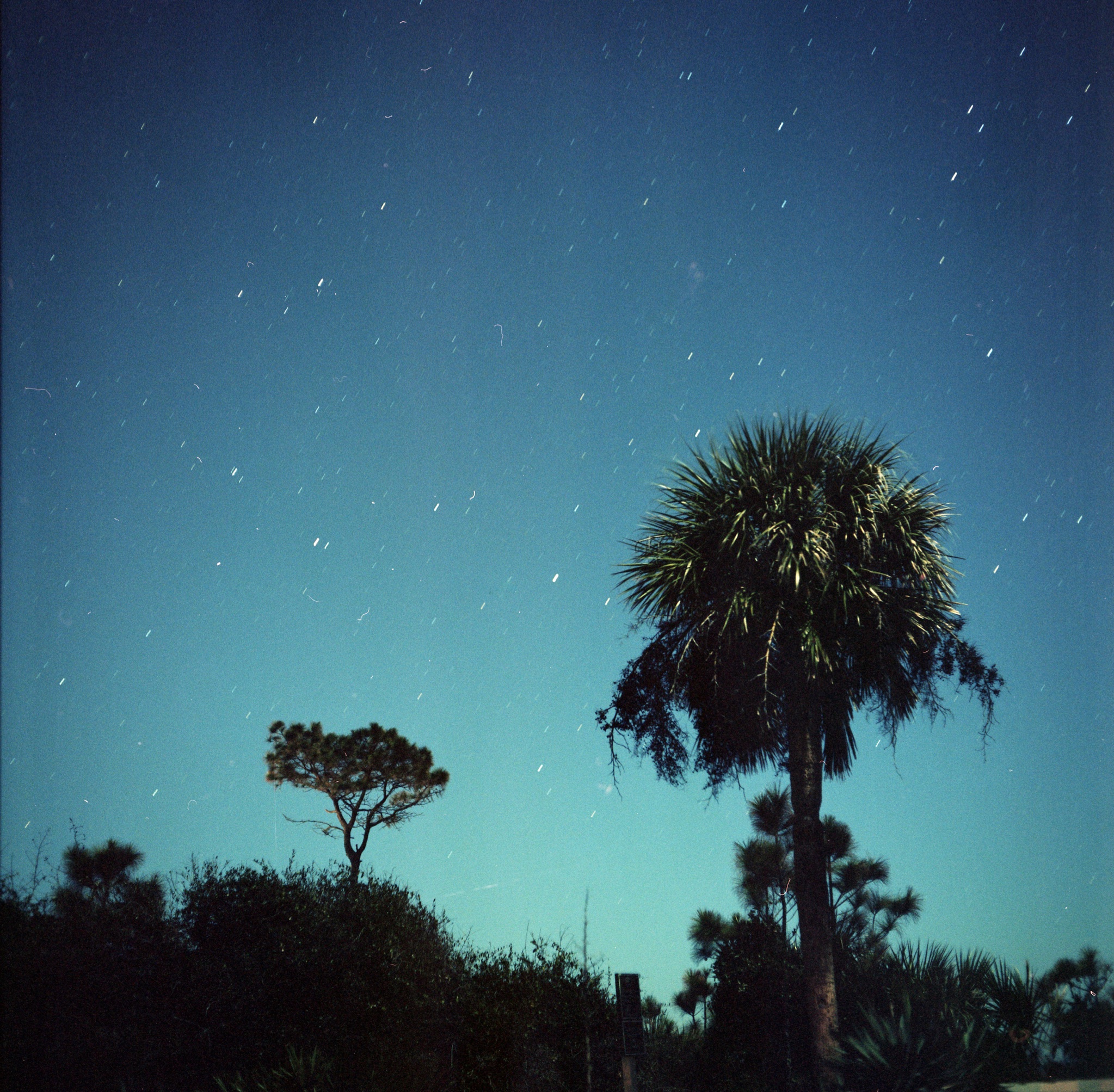 Shot on a medium format film camera, the motion of the stars in the winter night sky above Hilton Head Island in South Carolina begins to show during late December 2017.